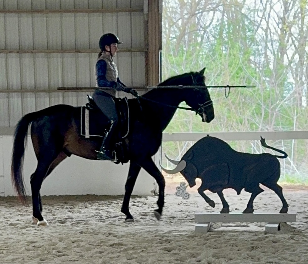 Working Equitation Clinic